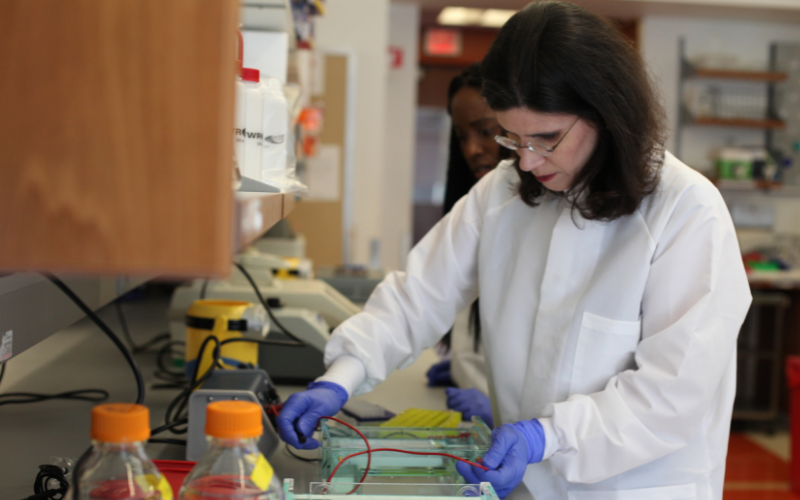 Discovering more ways to Identify kids with Beckwith-Wiedemann Syndrome 